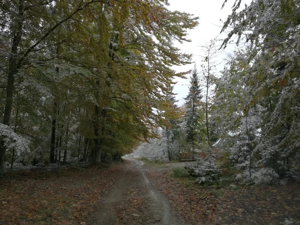 فندق Kam In Krivopol'ye المظهر الخارجي الصورة